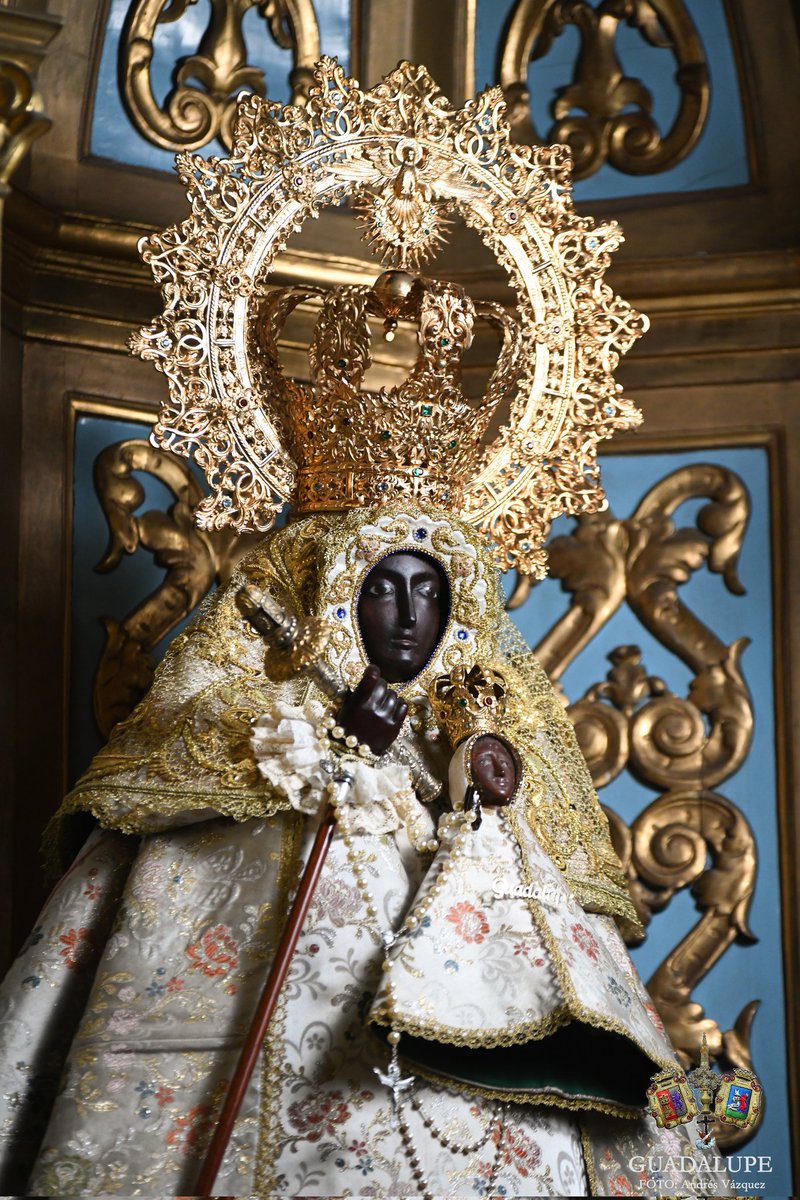 Hermandad de Guadalupe de Sevilla tweet media