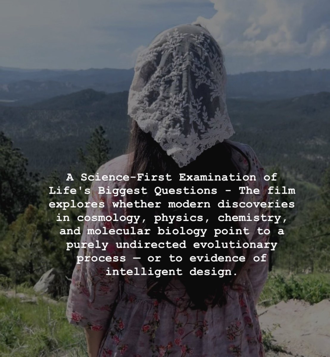 Abiding Homemaker tweet media