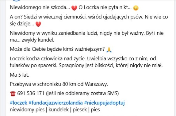 Robwalka Wolf tweet media