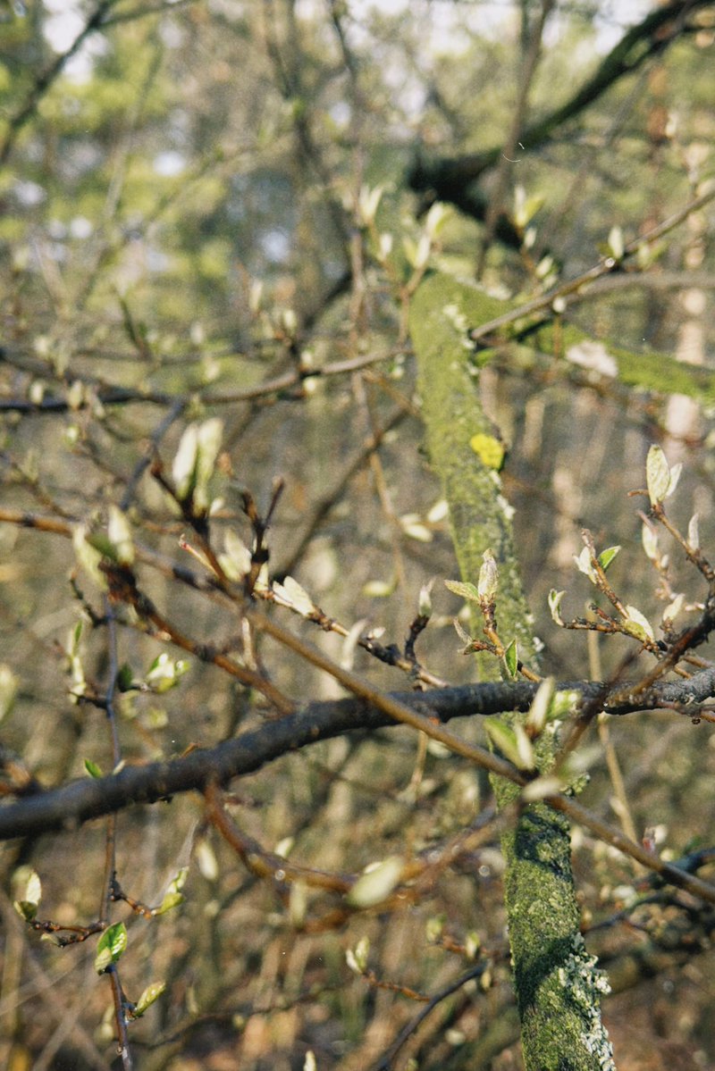 ведьмина избушка 🗝️ tweet media