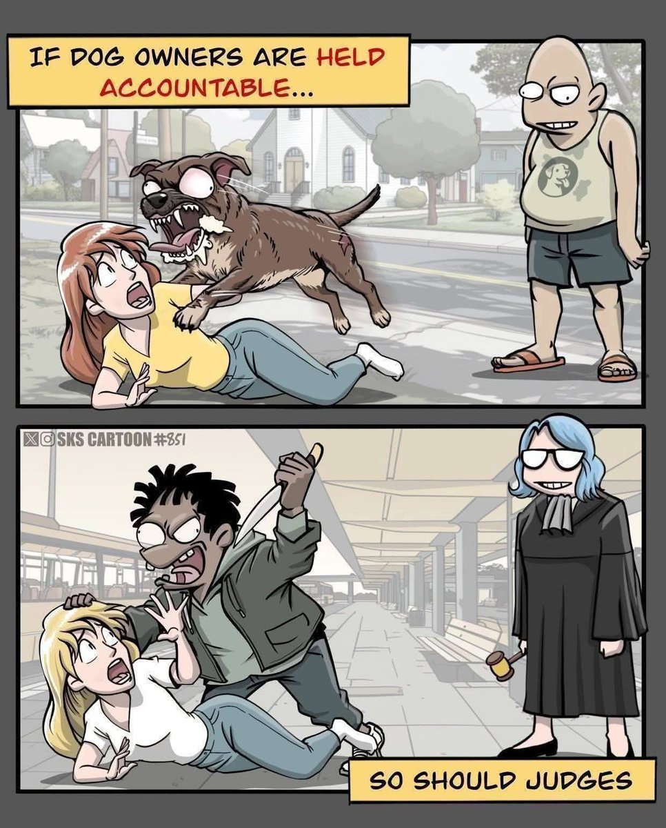 The Dave tweet media