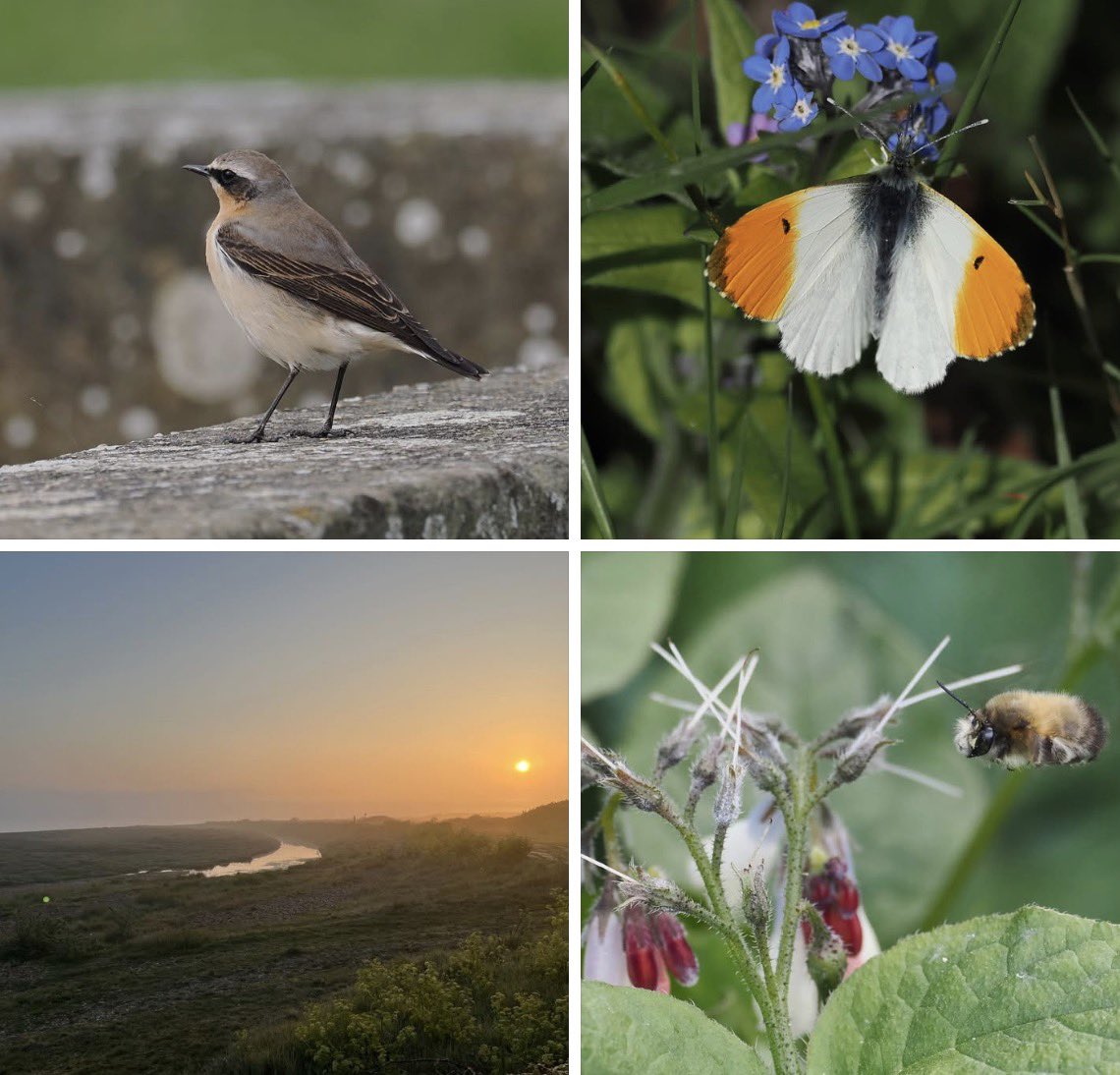 tweettankerton tweet media