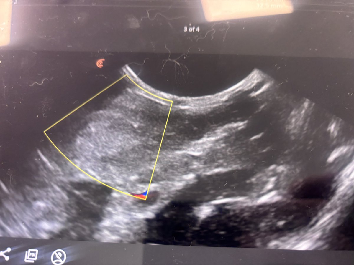 Carrot Cottage Rabbit Rescue tweet media