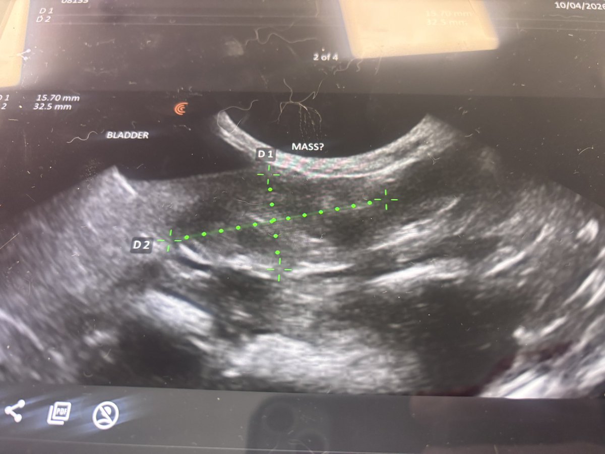 Carrot Cottage Rabbit Rescue tweet media