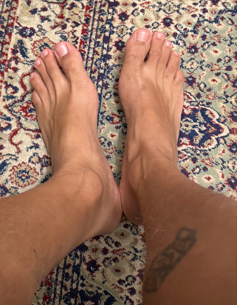 luluzinho tweet media