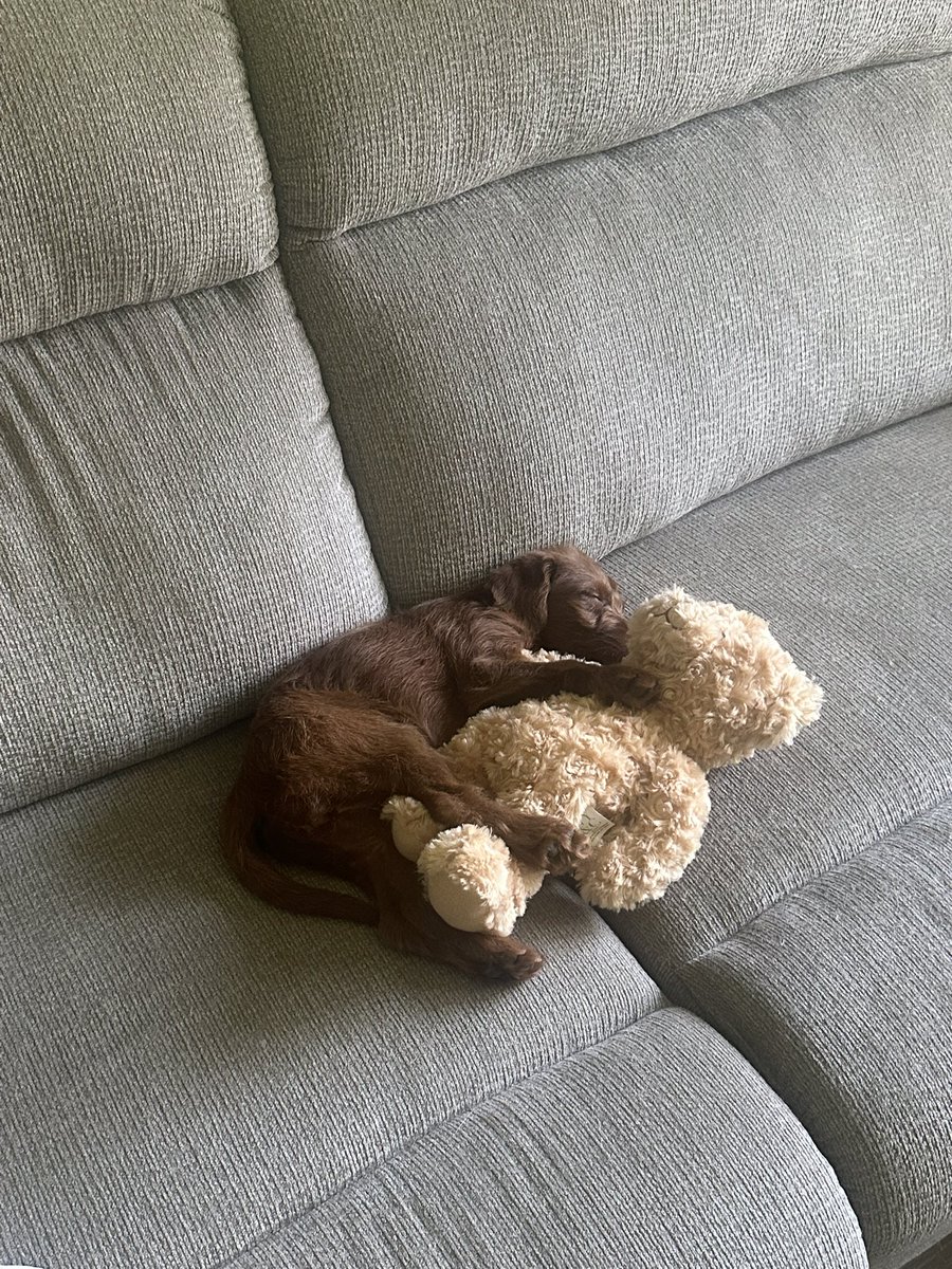 Challenged by Krill tweet media