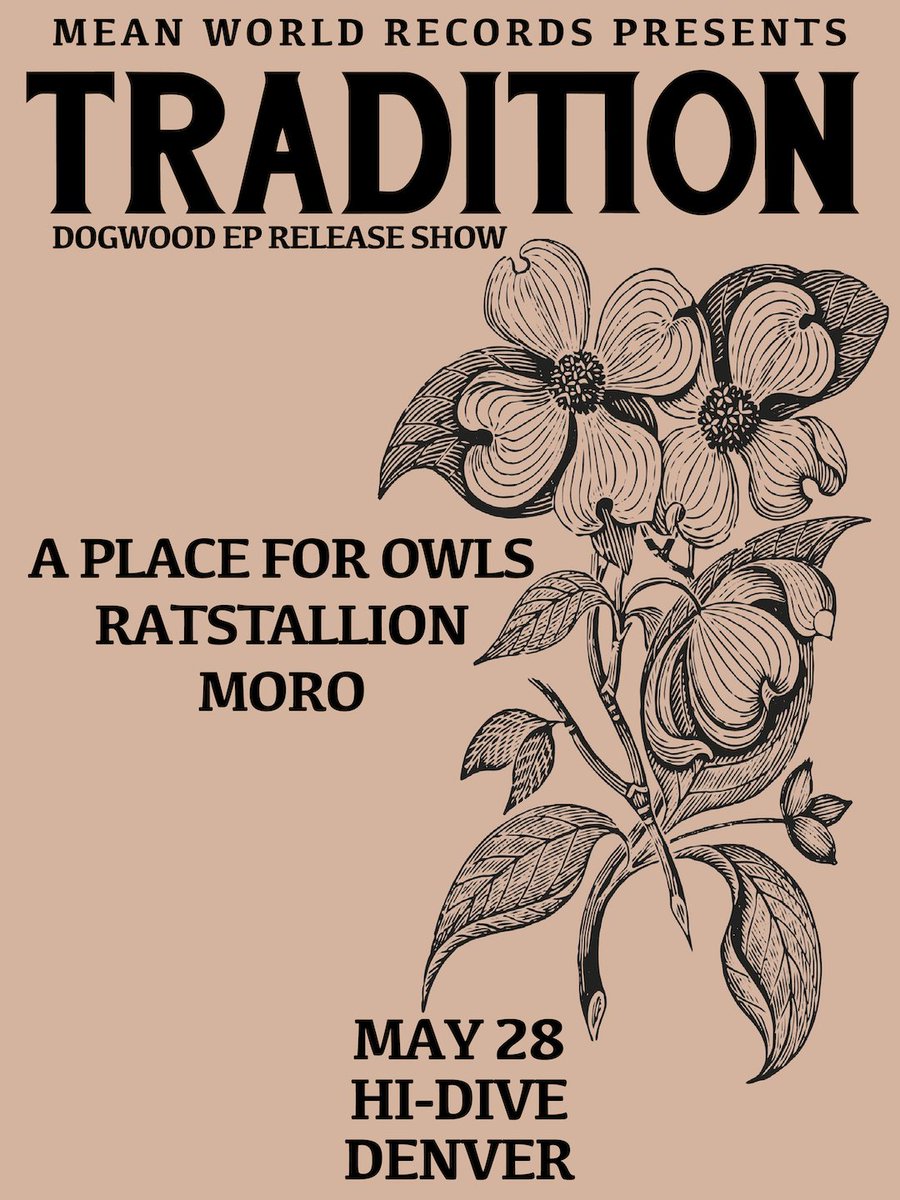 A Place For Owls tweet media
