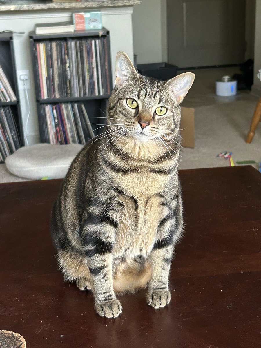 punished snake tweet media