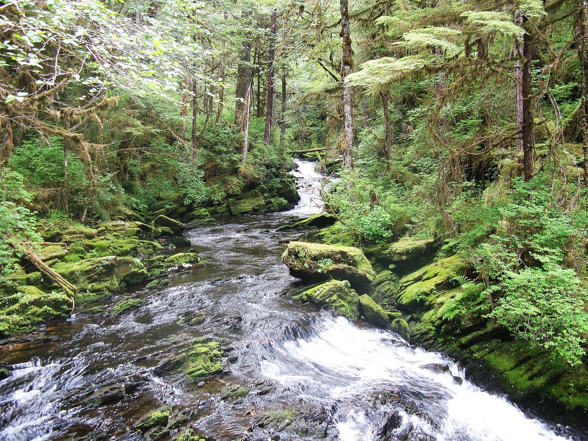 levityintx tweet media