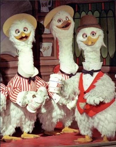 Gecko Guy tweet media