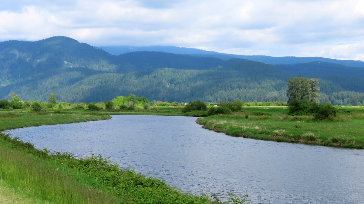 Helen Wheatley tweet media