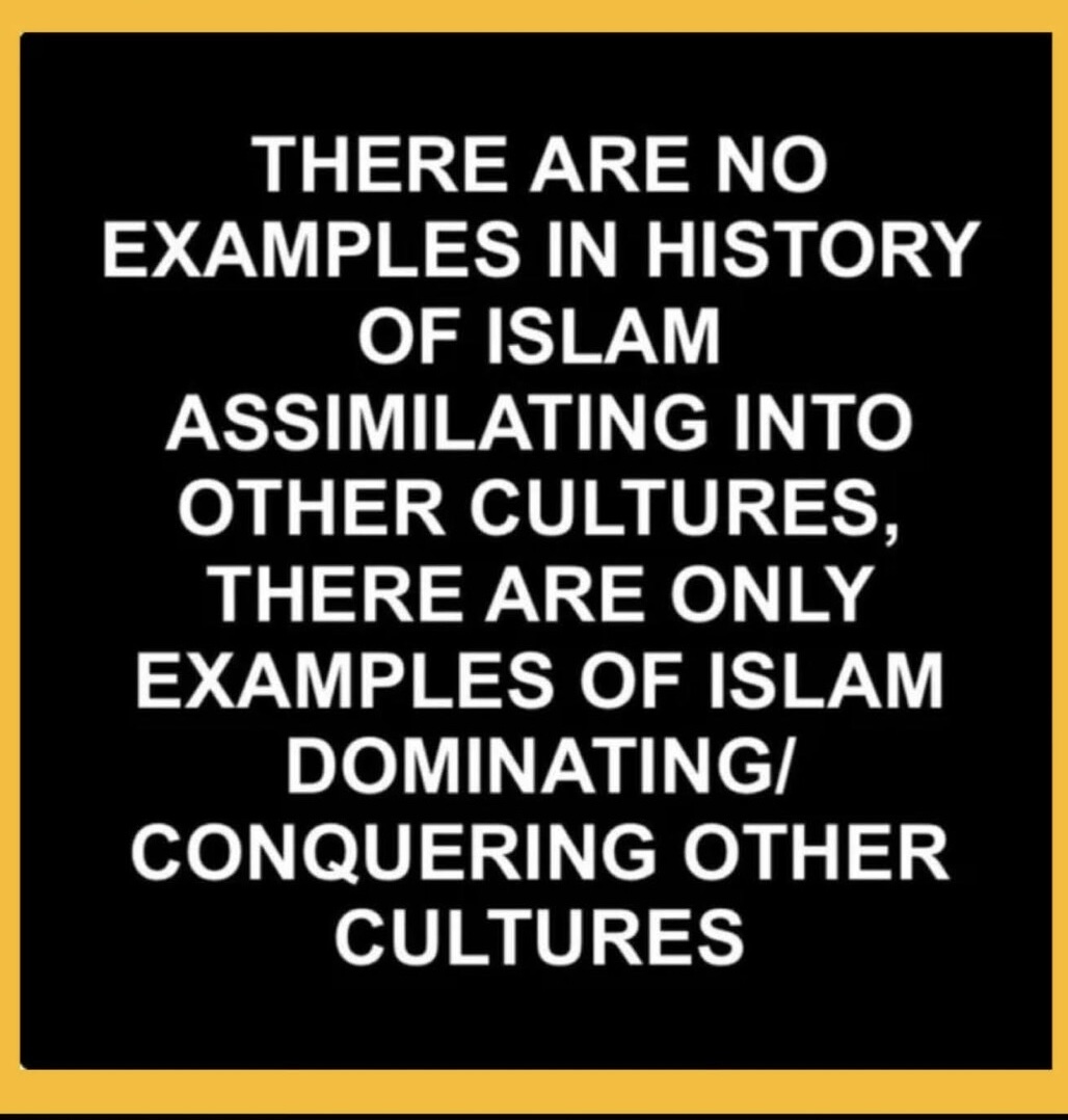 Kat Snyder tweet media