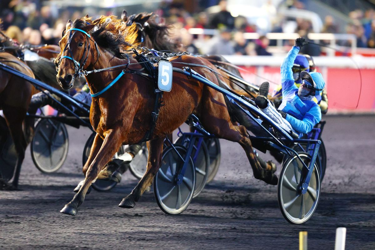 ParisTurf tweet media