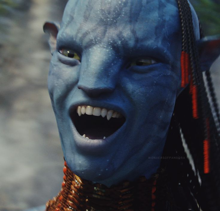 Lo ❤︎ itu pilled tweet media