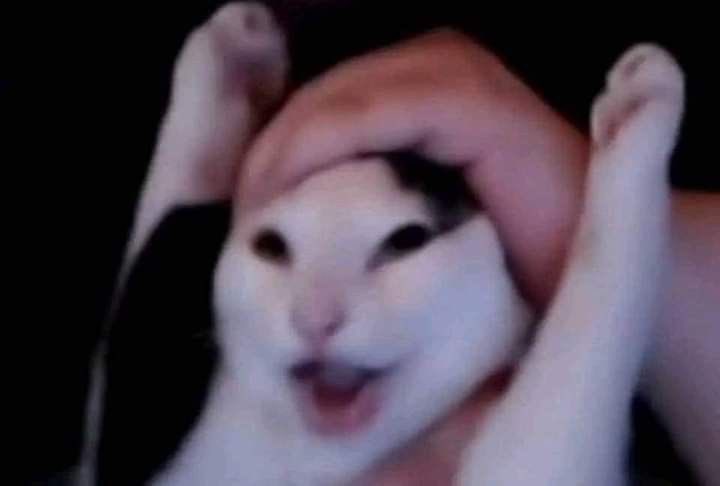 ⊹₊ ⋆🚯ᴋɪᴋɪ ᴀᴢᴜⳑ🚯 ⊹₊ tweet media