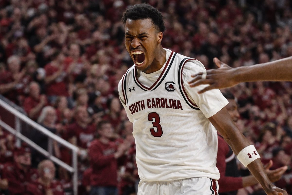 Lion Trees tweet media