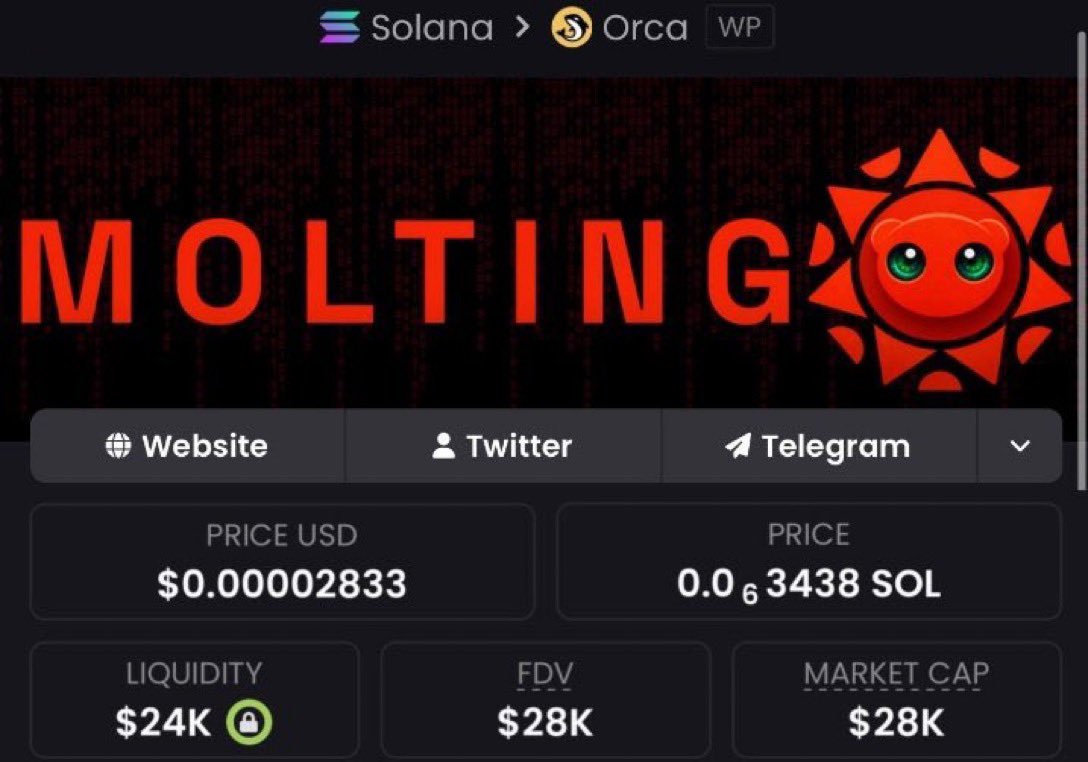 SOLANA ROCKET🚀 tweet media