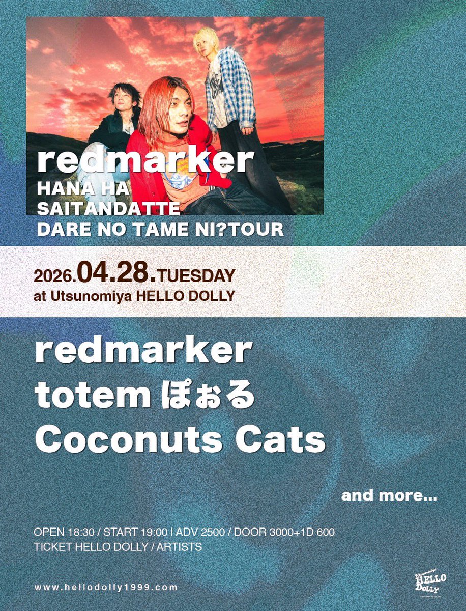 Coconuts Cats tweet media