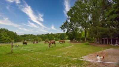 france_images's tweet image. For sale a small house, large gite, wooden chalet, very large stable and 21.600m2 land. Marcillac-la-Croisille, Correze, Limousin. buff.ly/QKuOoK9 

#France 🇫🇷 #FranceProperty #FrenchProperty #FrenchRealEstate #PropertyForSale