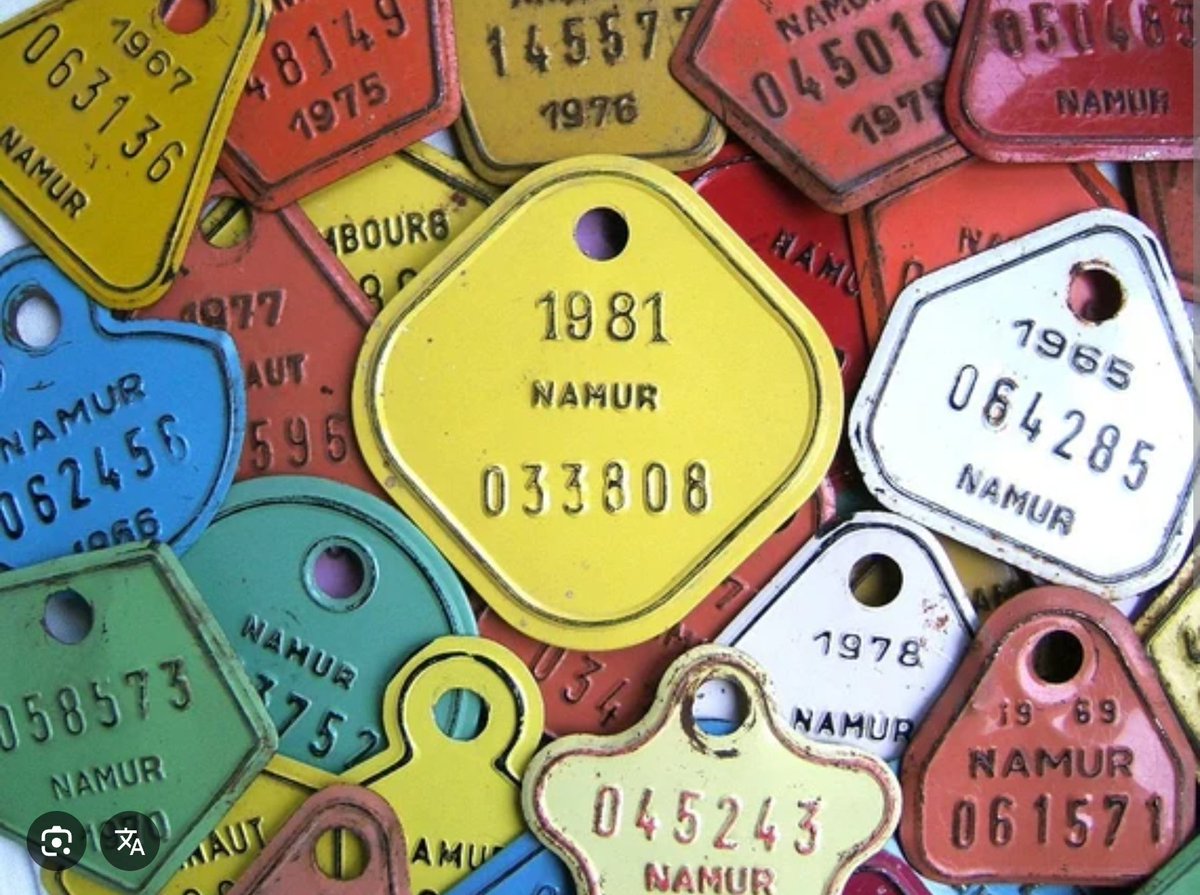 vanouze12's tweet photo. @Simao_rda @GLBouchez @JeunesMRBxl @JeunesMR Certains ont la mémoire courte.    Ça a déjà existé et ça a été supprimé il y a pas si longtemps que ça dans les années 90. https://t.co/BfLRknLDyU