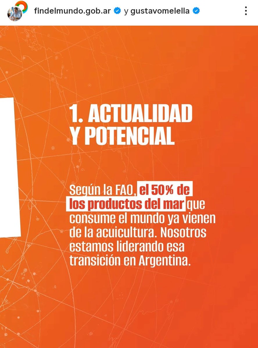 Luis Castelli tweet media