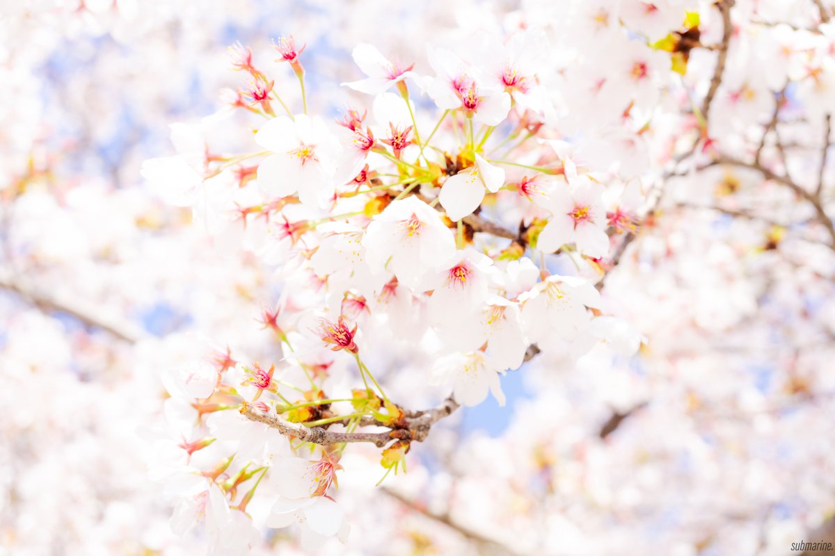 ํจ๐น tweet media