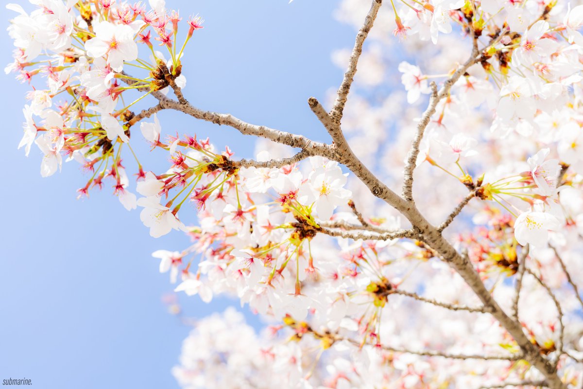 ํจ๐น tweet media