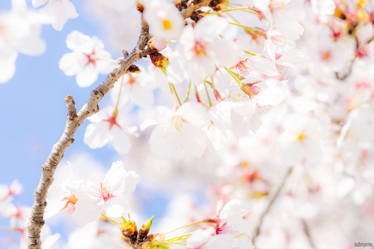 ํจ๐น tweet media