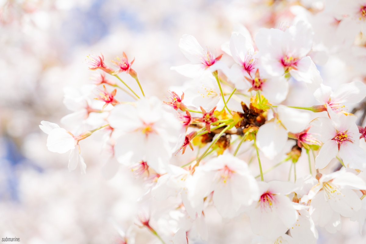 ํจ๐น tweet media