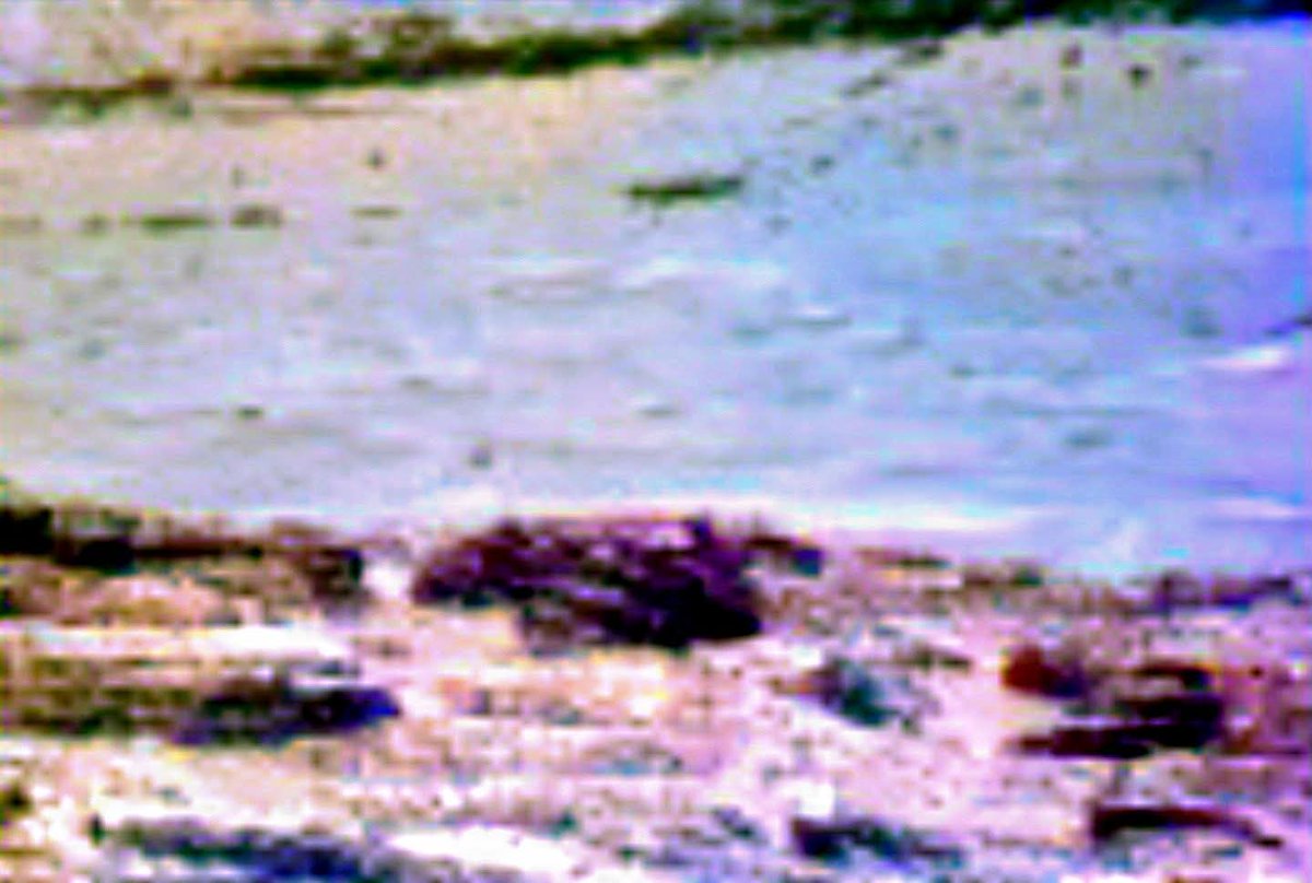 MarsBeings tweet picture