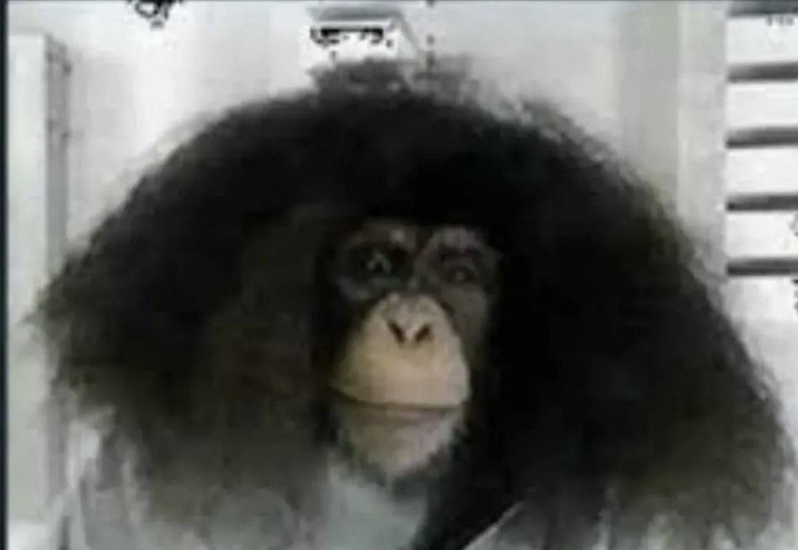 lu VA A VER A BANGTAN 21/24 tweet media