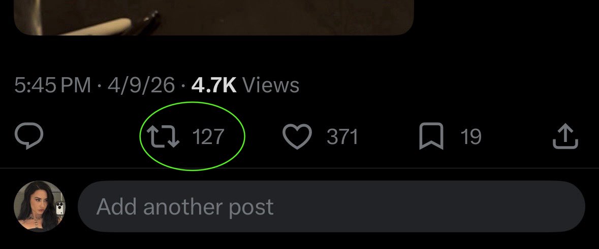 amandabear 🐼ྀི tweet media