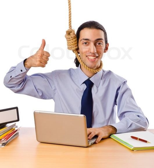 白荷Charl tweet media