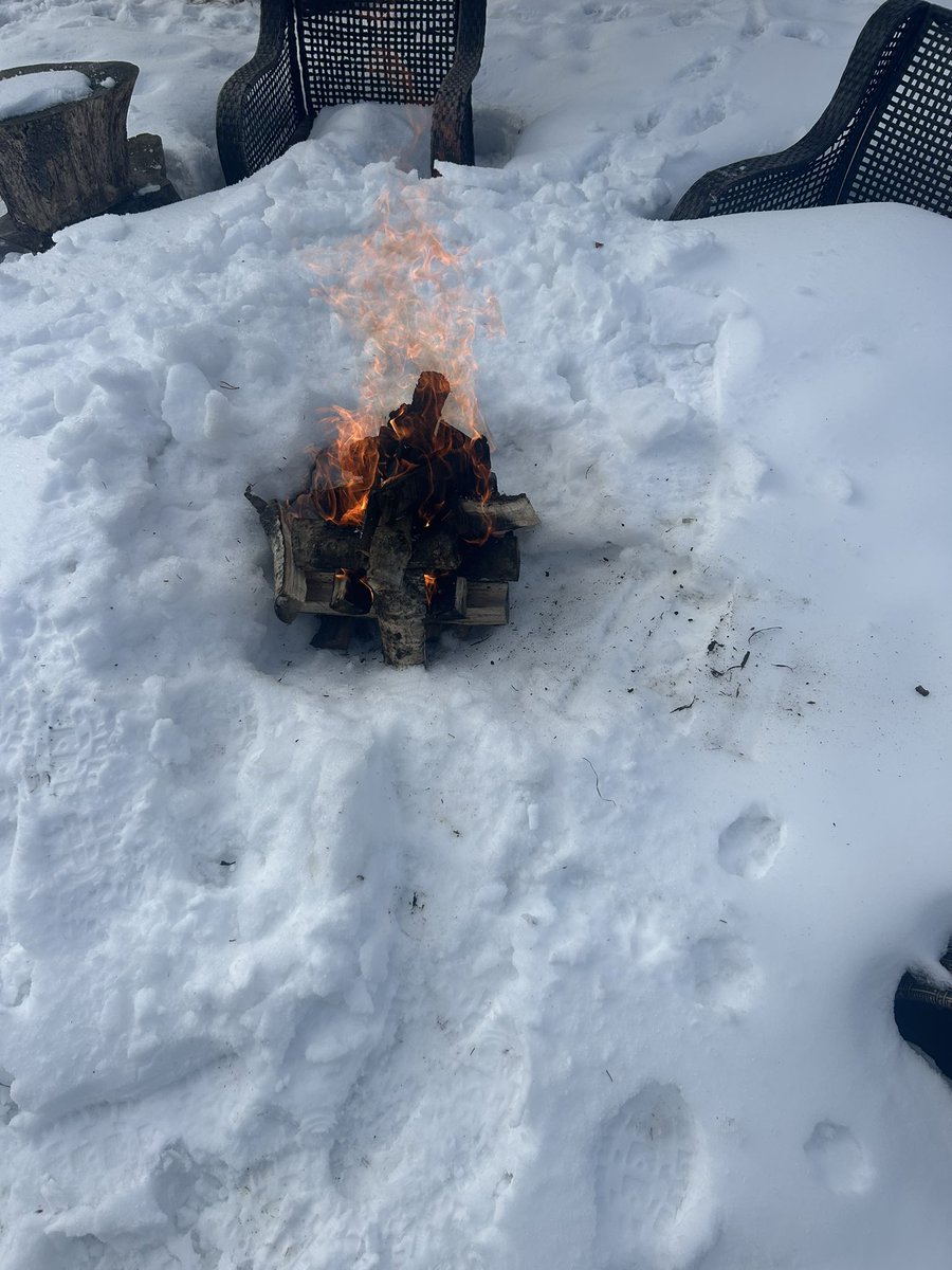 Done Dirt Cheap tweet media