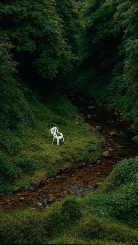 İbrahim 🦅 tweet media