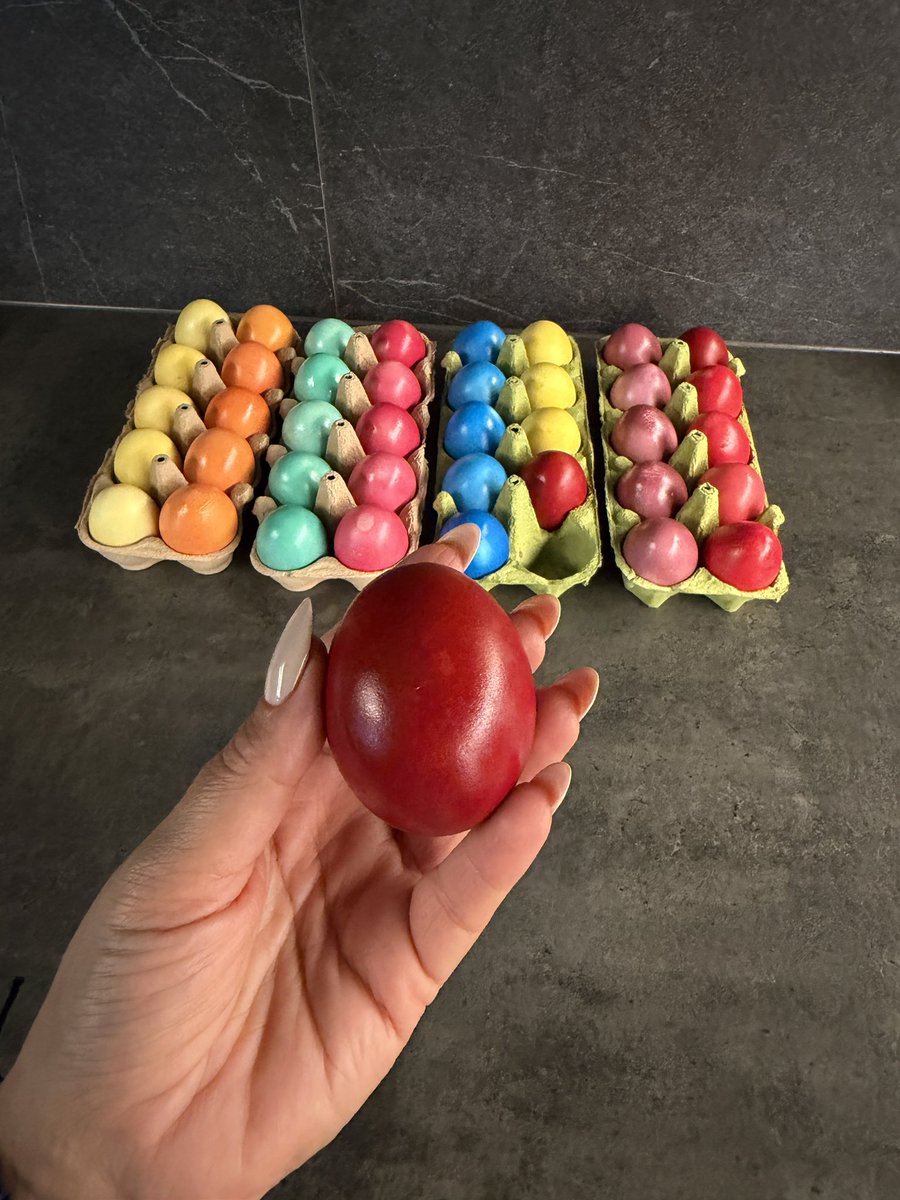 Seka Aleksic tweet media