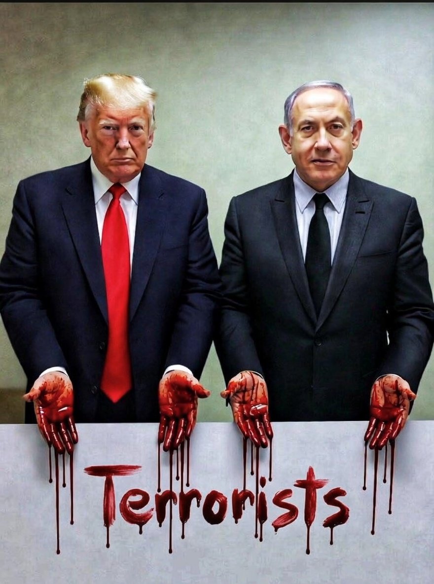 Will1 ⚓️ tweet media