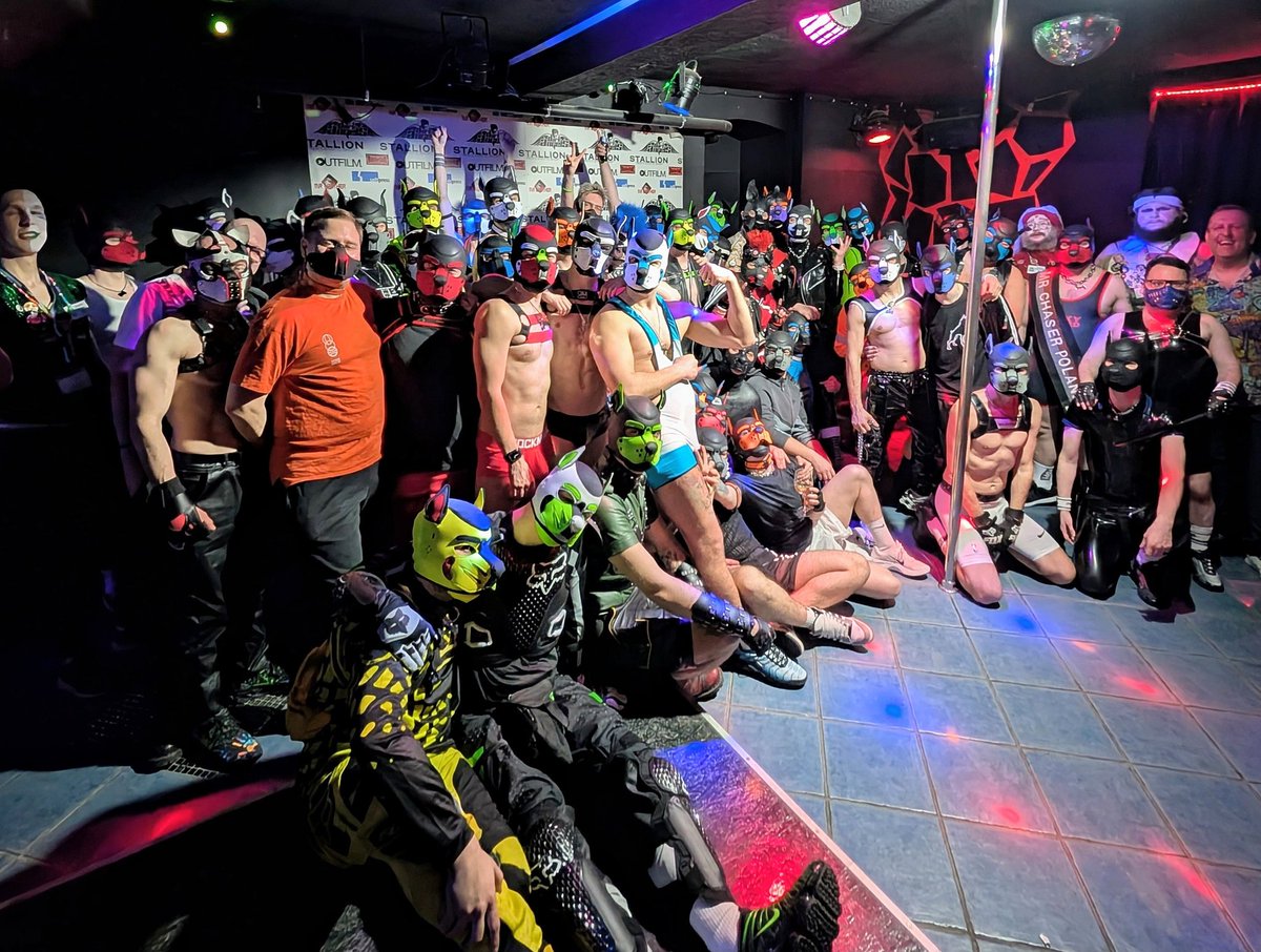 Polish Pups tweet media