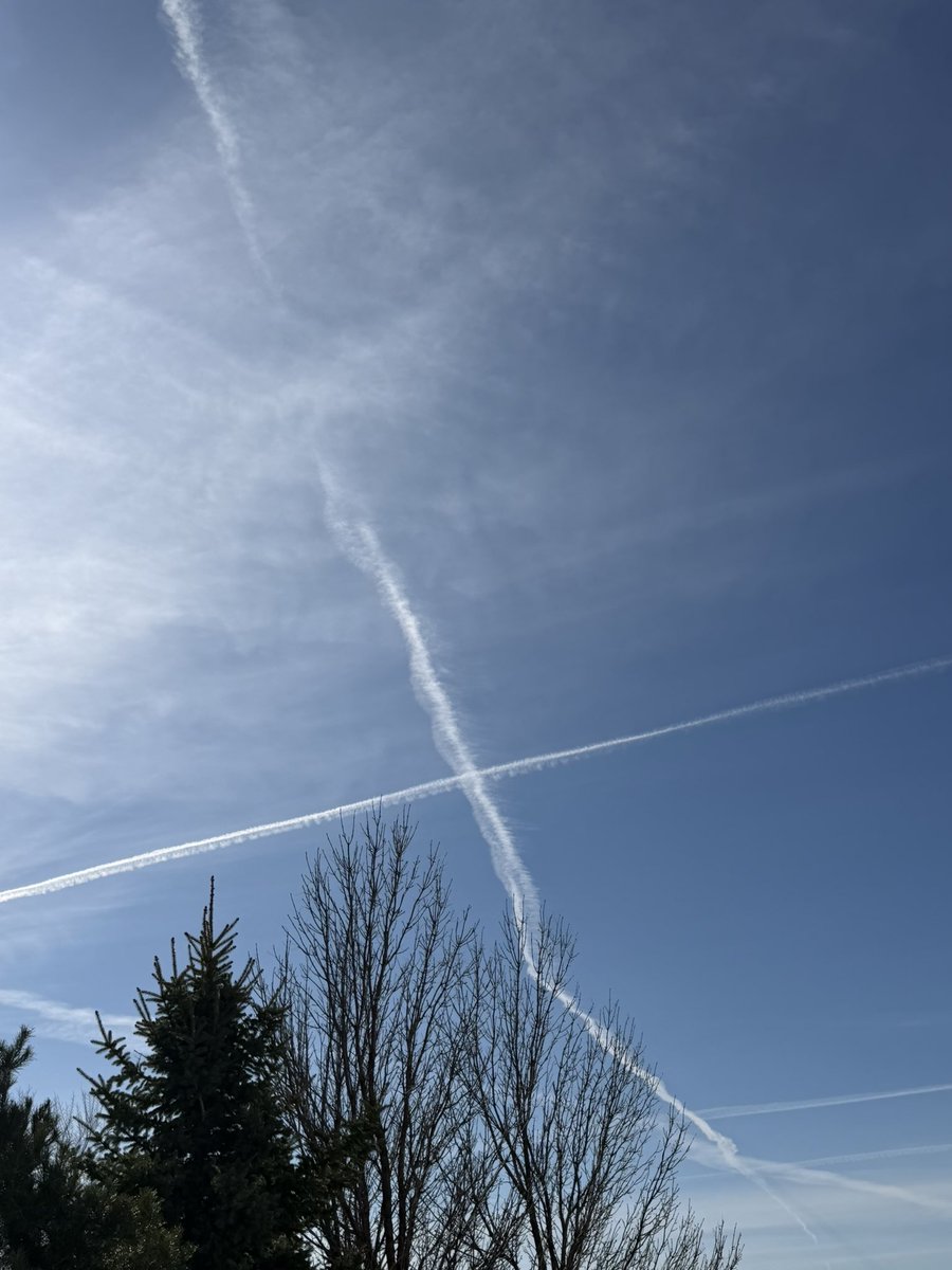 MASON VERSLUIS tweet media