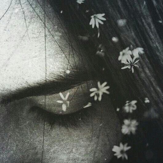 🌲🌲Nizam🌲🌲 tweet media