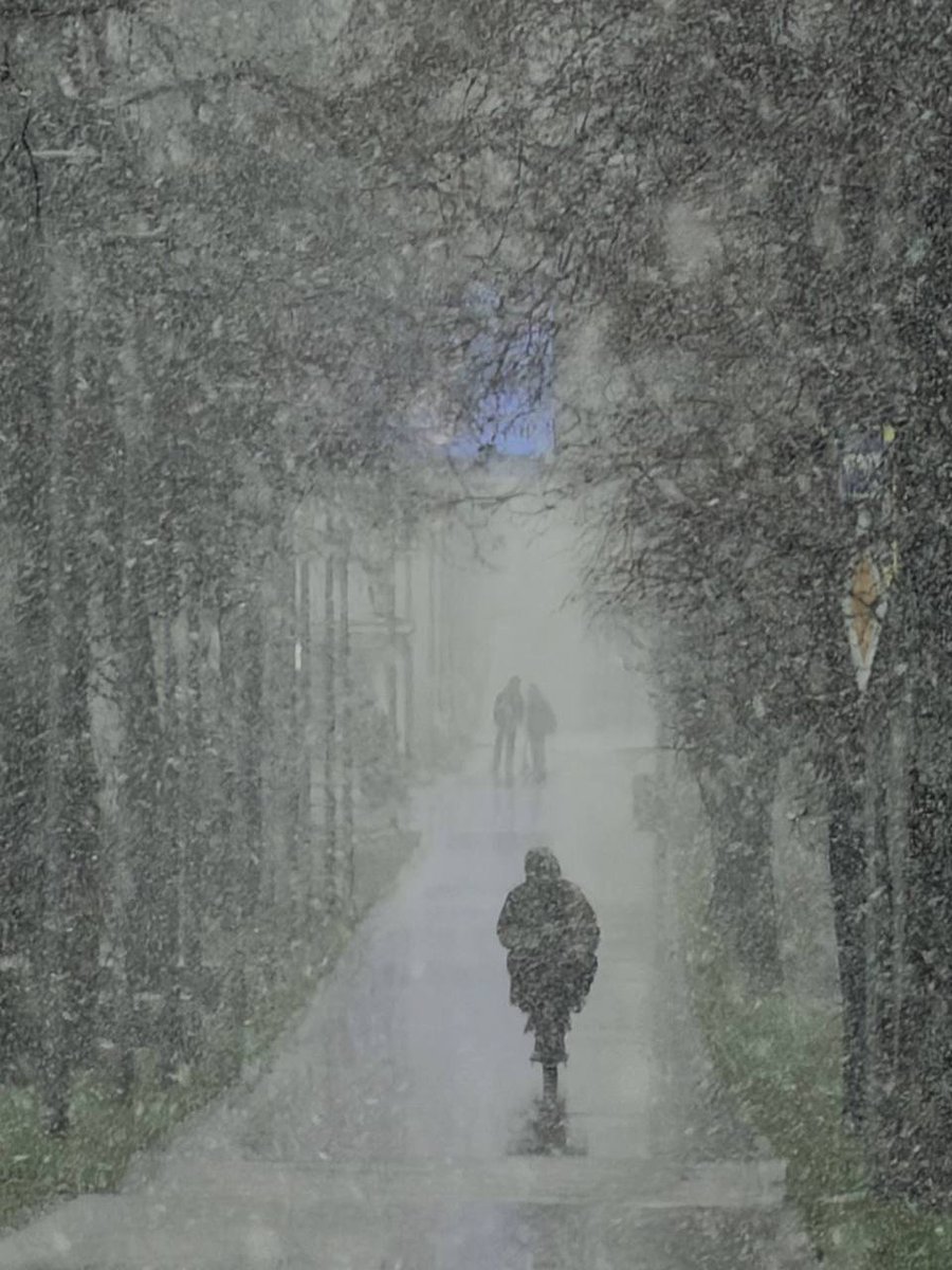 Nickolay Turubar tweet media