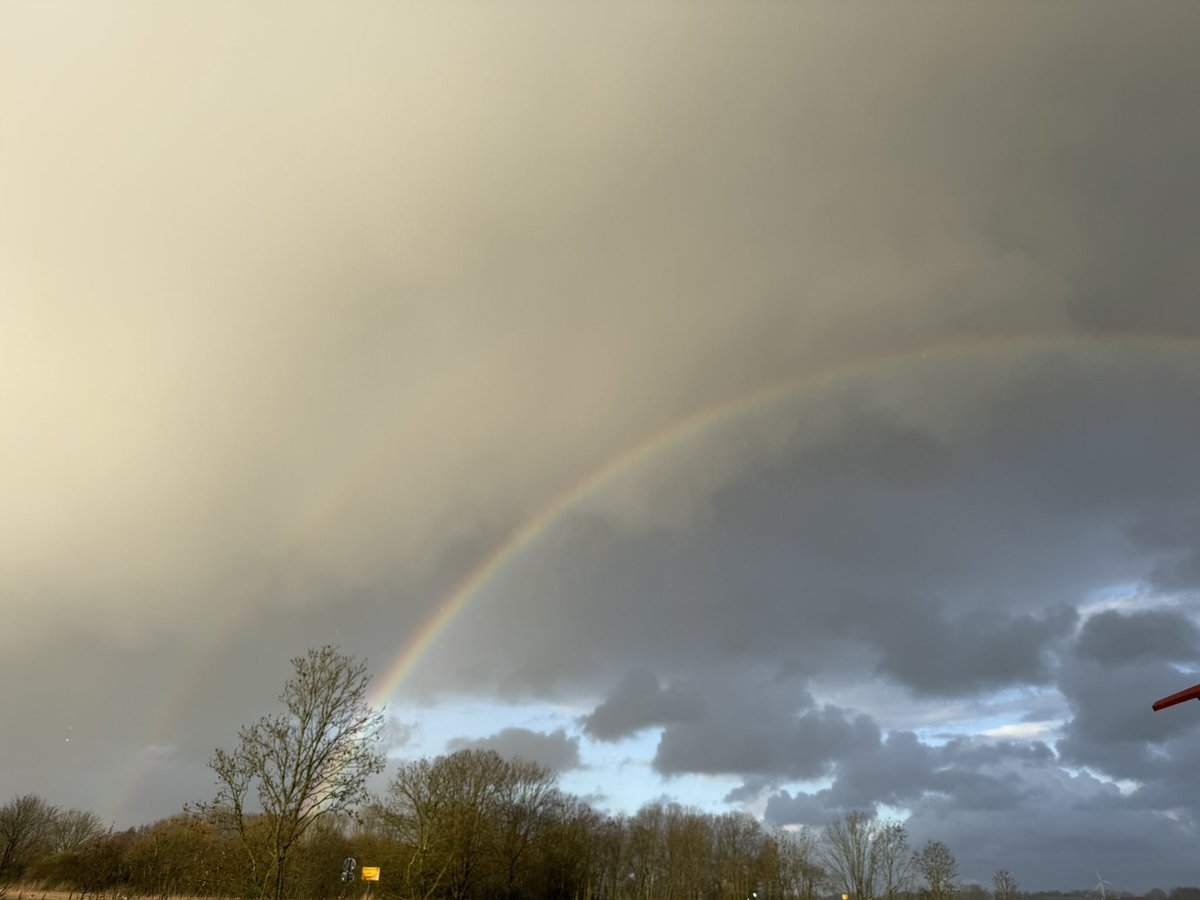 Dawn Stallard tweet media