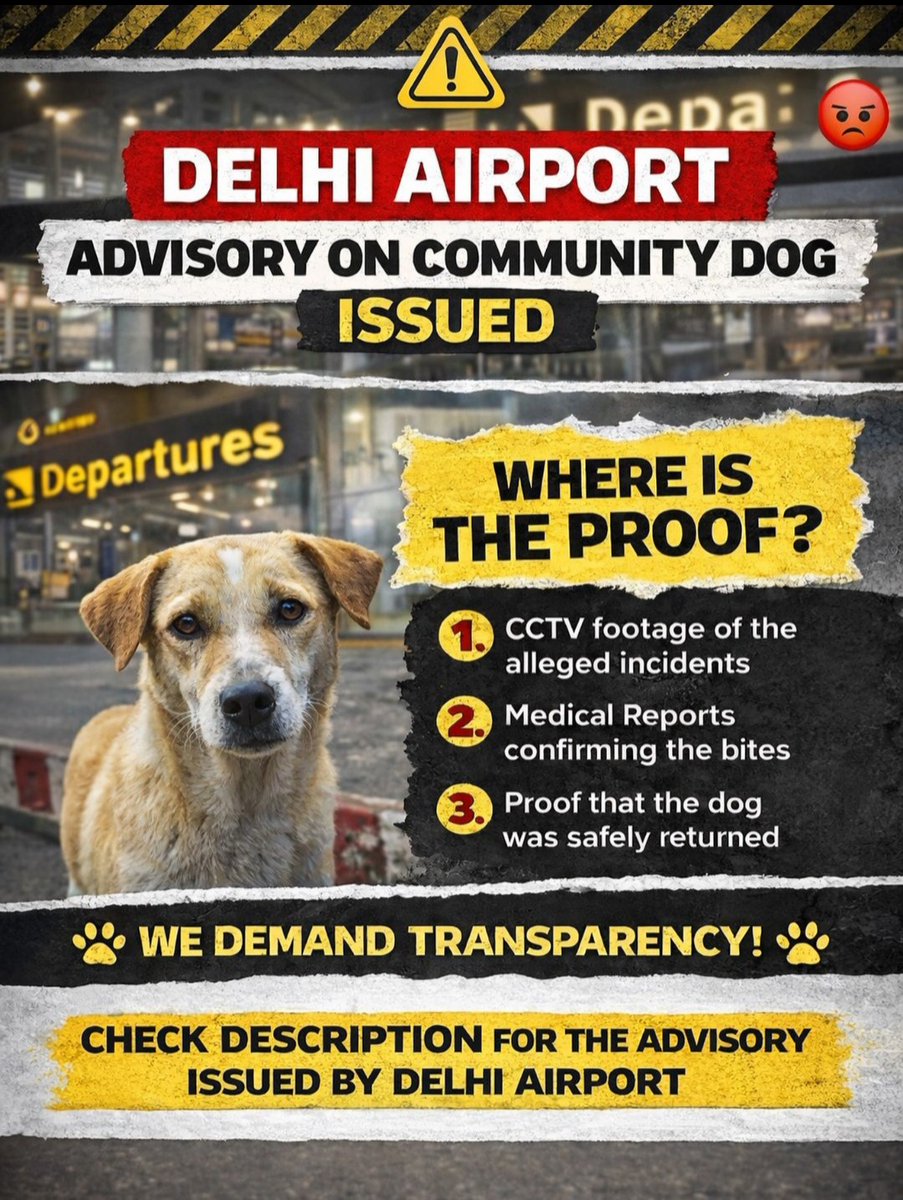 <a href="/DelhiAirport/">Delhi Airport</a> Shame on you <a href="/DelhiAirport/">Delhi Airport</a> <a href="/DelhiAirportGMR/">Delhi Airport</a> &amp; authorities — serious claims of a “biting, aggressive” dog, yet no CCTV, no medical proof, no transparency.
Where is the evidence?
Where is the proof the dog was safely returned?
We demand answers. NOW.
#DelhiAirport #CommunityDogs