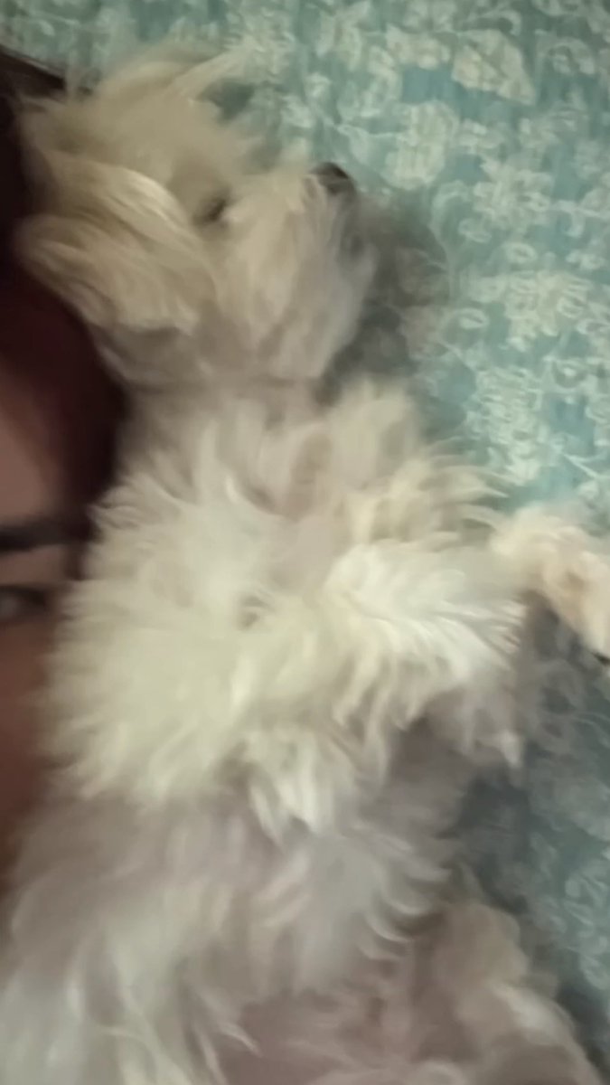 𝙨𝙩𝙖𝙮.. tweet media