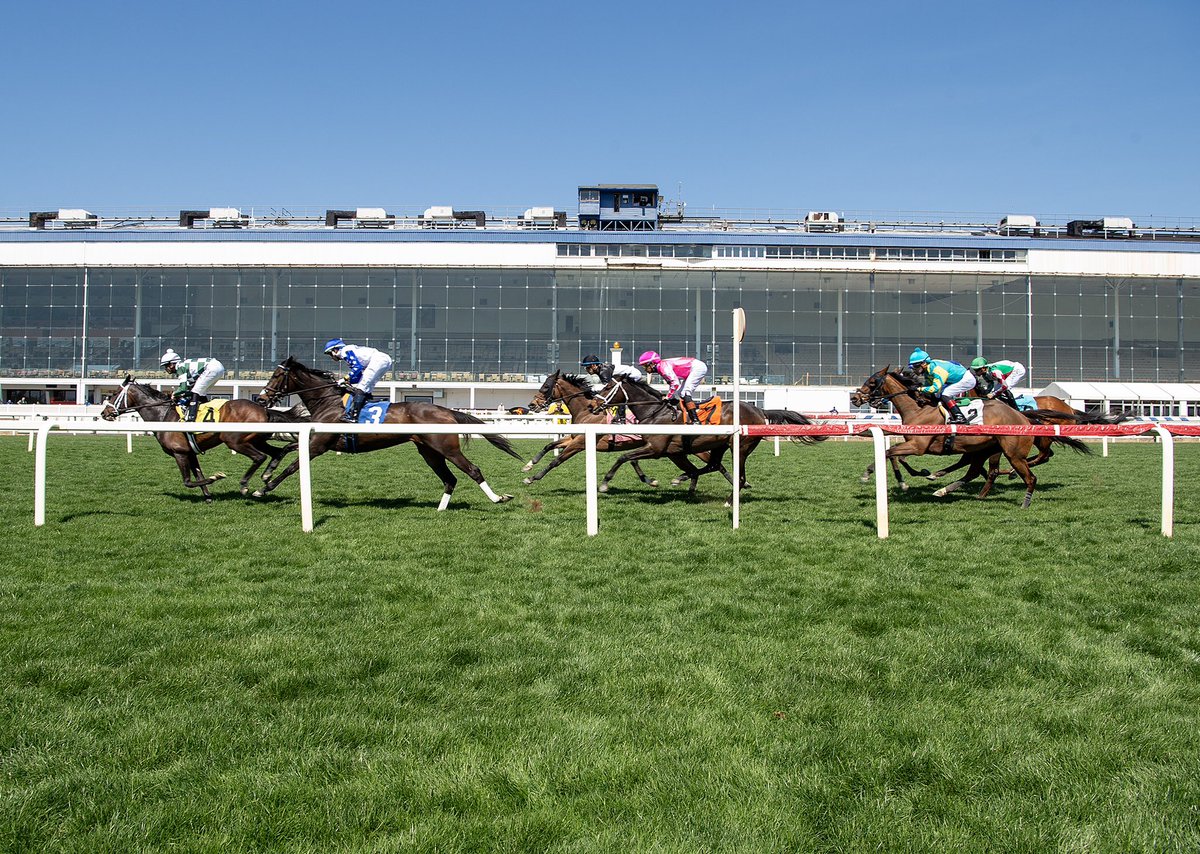 mdhorsemen's tweet photo. Turf season @LaurelPark kicks off in first race Friday. I’m a Sure Thing (4), ridden by @ACruzz01 for @depazracing, was victorious. (Jim McCue 📷) https://t.co/TSUcevPRQM