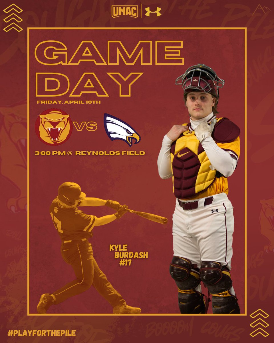 Minnesota Morris Baseball tweet media