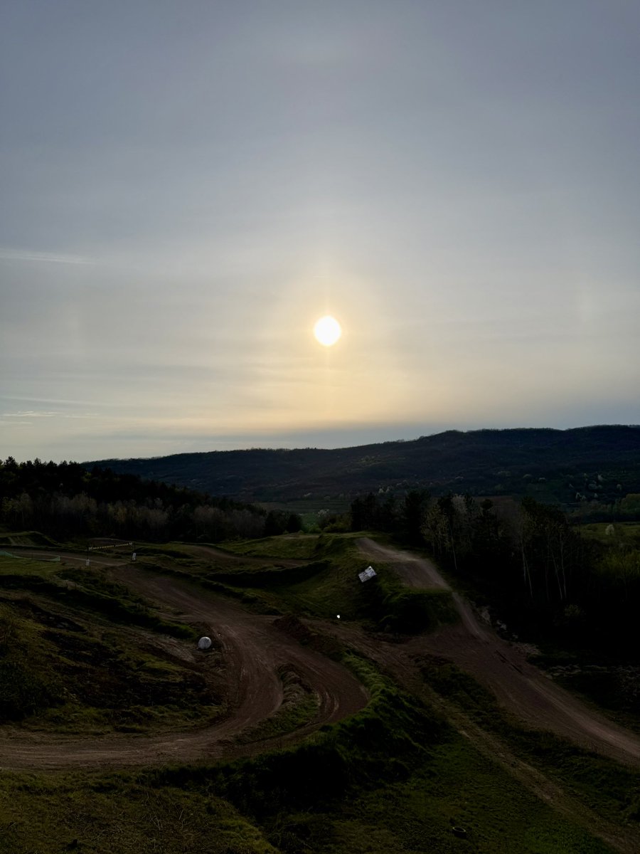 Zeka #75 tweet media