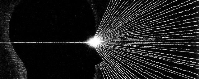 🚨In 1990s, Stanford researcher Dr. Robert Sapolsky discovered something ...