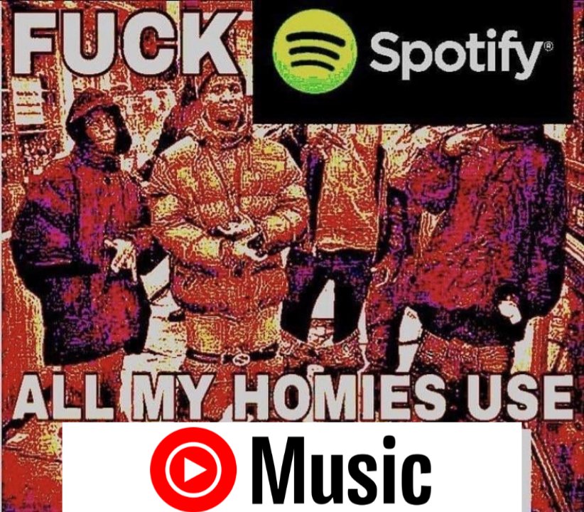 the celeste cat es bi🏳️🌈(felizmente casado) tweet media