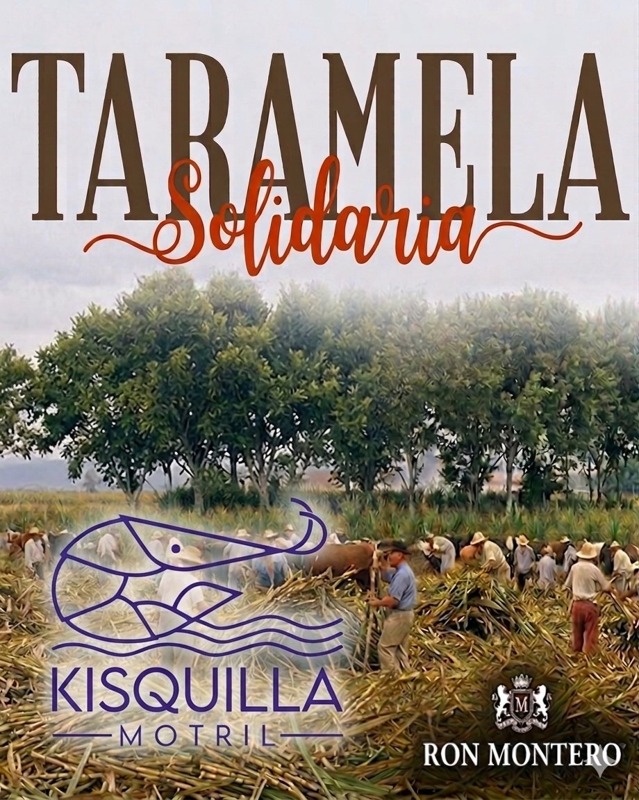 Banco Alimentos Granada tweet media